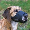 Trixie Köpek Fileli Ağızlık Medium 14-20 Cm Trixie Köpek Fileli Ağızlık Medium 14-20 Cm