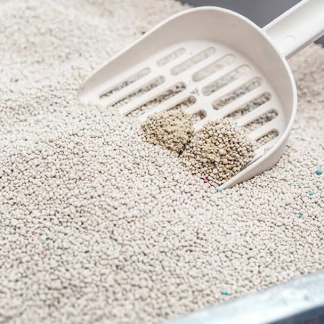 Proline Extra Bentonit Topaklanan Doğal Kedi Kumu 1 Adet 10 Kg