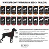 Lindo Dogs Aqua İçi Fileli Su Geçirmez Köpek Yağmurluğu Mavi Beden 0