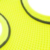 Tailpetz Air Mesh Harness Köpek Göğüs Tasması Xsmall Lime 28-30x32-36 Cm