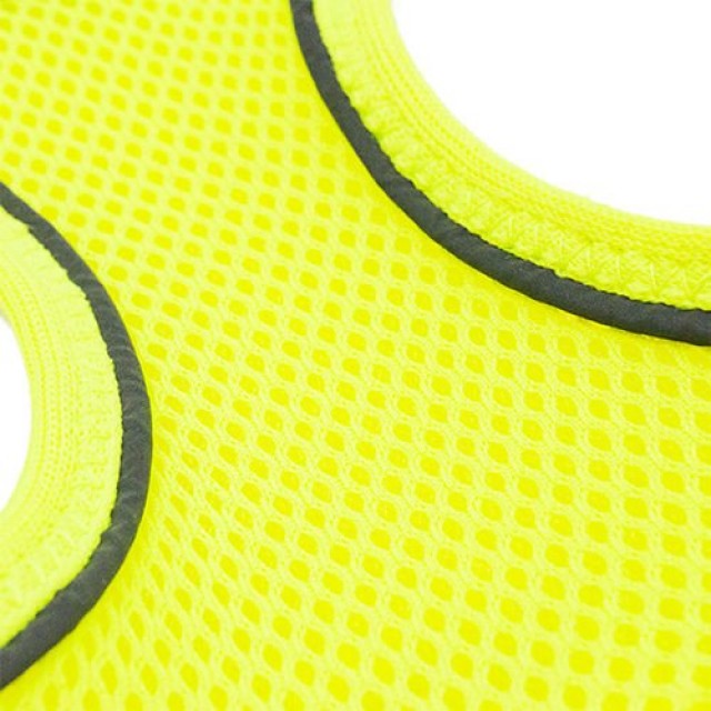 Tailpetz Air Mesh Harness Köpek Göğüs Tasması Xsmall Lime 28-30x32-36 Cm