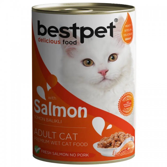 Bestpet Somonlu Yetişkin Kedi Konservesi Gravy 400 Gr
