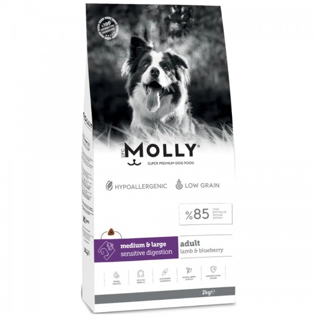 Molly Medium Adult Kuzu Etli & Yaban Mersinli Orta ve Büyük Irk Yetişkin Köpek Maması 2 Kg
