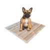 M-Pets Eco Köpek Çiş Eğitim Pedi 60x60cm 50li