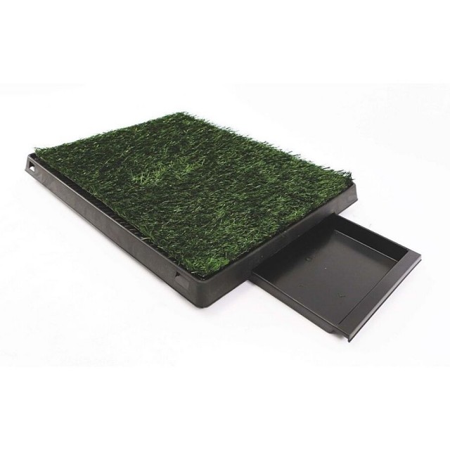 M-Pets Grass Mat Çimli Köpek Tuvaleti 58x46cm