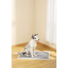 M-Pets Essential Karbonlu Yapışkanlı Çiş Pedi 60x90cm 10lu