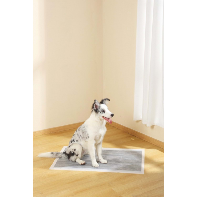 M-Pets Essential Karbonlu Yapışkanlı Çiş Pedi 60x90cm 10lu