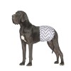 M-Pets Erkek Köpekler İçin Yıkanabilir Külot 2li (XXXL)