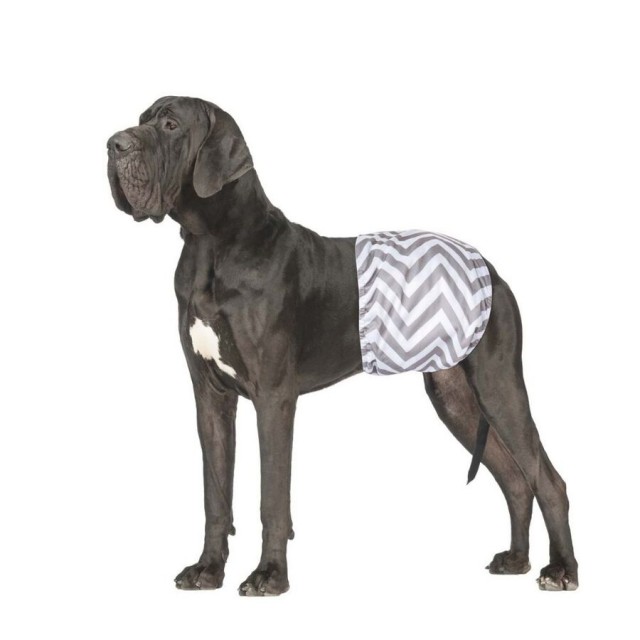 M-Pets Erkek Köpekler İçin Yıkanabilir Külot 2li (XXXL)