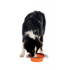 M-Pets On The Road Katlanabilen Mama Kabı (M) 750ml Turuncu / Kahverengi