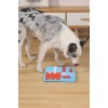M-Pets Curie Uzman Seviye Zeka Oyuncağı