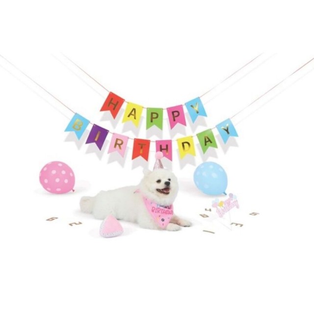 M-Pets Party Time Dişi Köpekler İçin Doğum Günü Seti