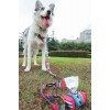 M-Pets Urbanstyle Jazz Stripes Dışkı Poşeti Çantası