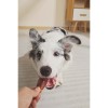 M-pets BBQ Kings Rib Bites Tavuklu Köpek Ödül Maması 115gr