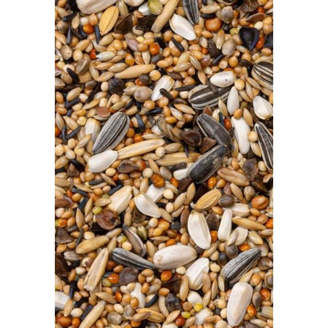 Deli Nature Premium Large Parakeets Paraket Yemi 1kg