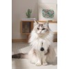 M-Pets Fearless Ultrasonik Pire ve Kene Kovucu Siyah