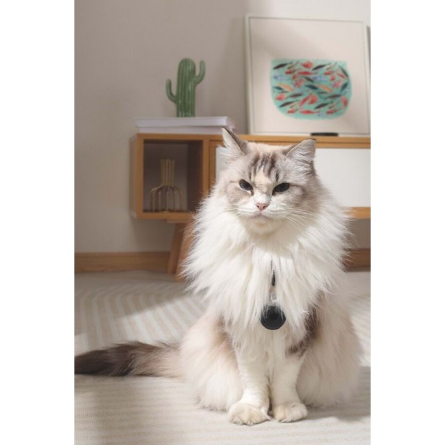M-Pets Fearless Ultrasonik Pire ve Kene Kovucu Siyah