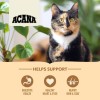 Acana Homestead Harvest Tavuk ve Hindi Etli Yetişkin Kedi Maması 4.5 Kg