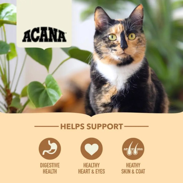 Acana Homestead Harvest Tavuk ve Hindi Etli Yetişkin Kedi Maması 4.5 Kg