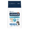 Advance Maxi Light Tavuk ve Pirinçli Kilolu Büyük Irk Yetişkin Köpek Maması 12 kg