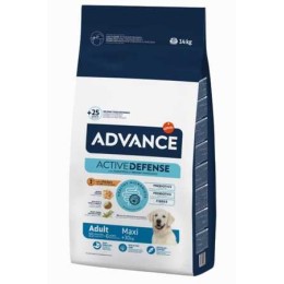 Advance Adult Maxi Tavuklu Büyük Irk Yetişkin Köpek Maması 14kg