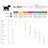Tailpetz Air Mesh Harness Zümrüt Köpek Göğüs Tasması 3XS