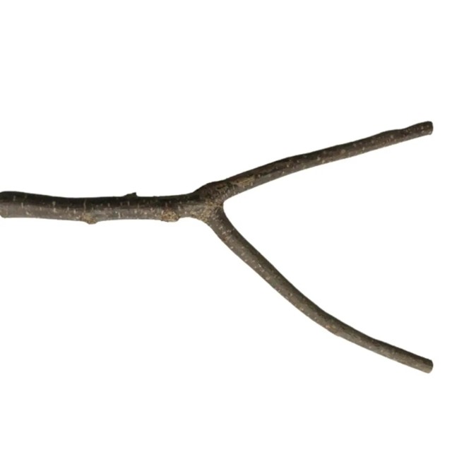 Beaks Kuşlar İçin Doğal Tünek M 27,5 Cm