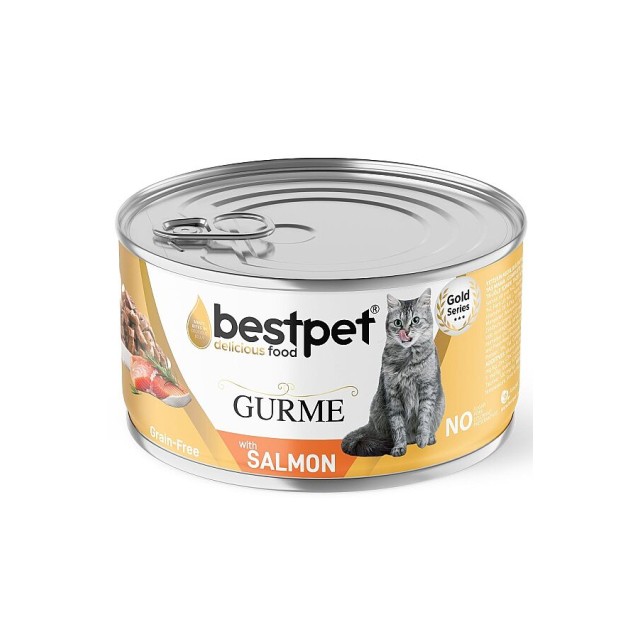 Bestpet Jöle İçerisinde Somonlu Yetişkin Kedi Konservesi 85gr