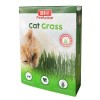 Bio Pet Active Grass Kit Naturel Kedi Çimi