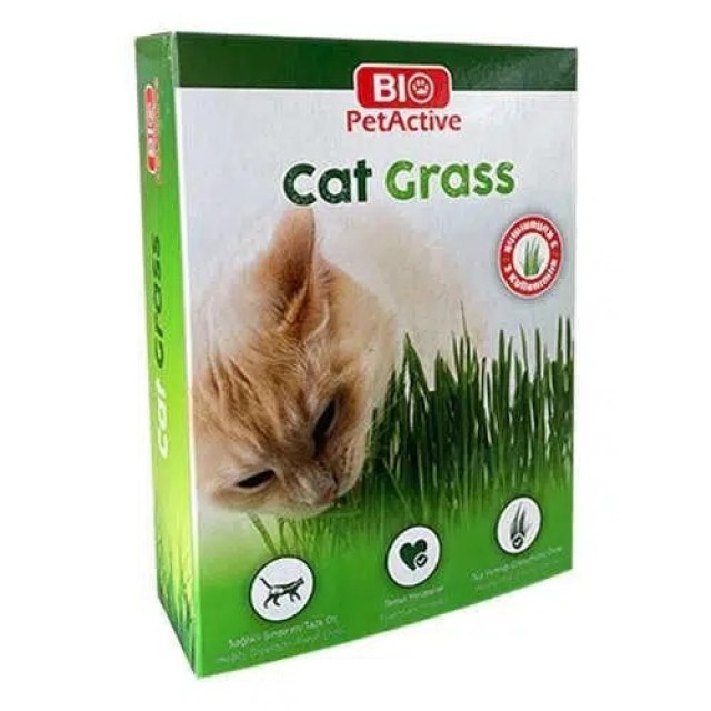 Bio Pet Active Grass Kit Naturel Kedi Çimi