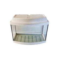 Bombeli Akvaryum 35cm Renkli 35*24*35h