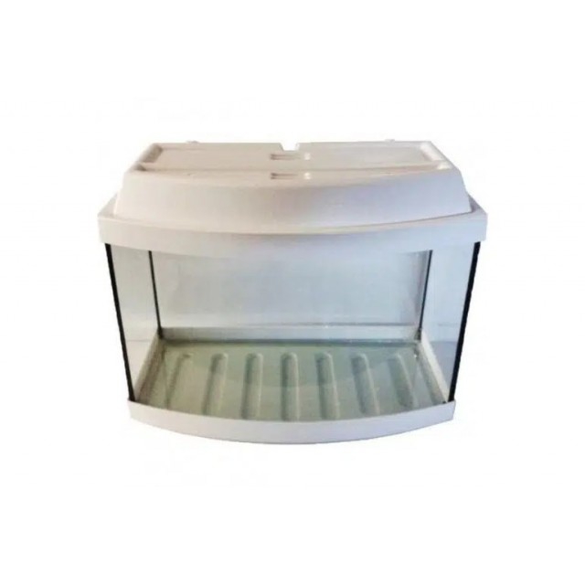 Bombeli Akvaryum 35cm Renkli 35*24*35h