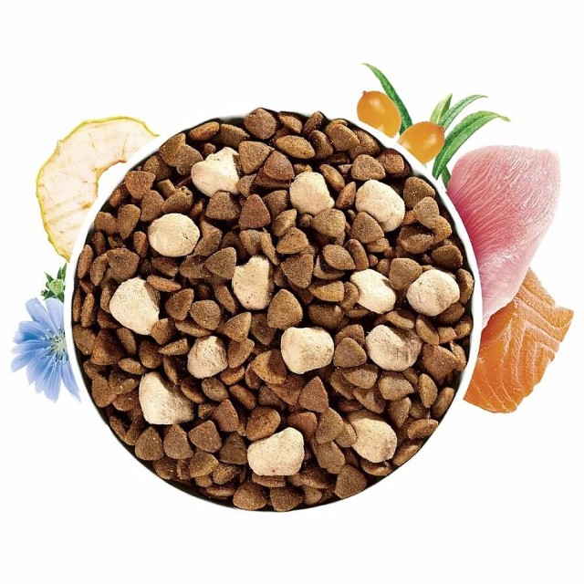 Brit Care Haircare Raw Delight Yetişkin Kediler İçin Somon ve Dondurularak Kurutulmuş Hindi Etli Mama 2kg