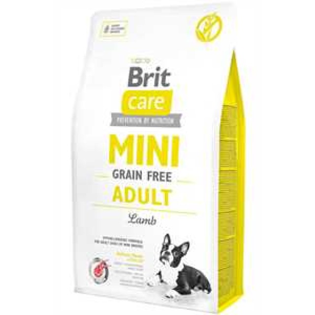 Brit Care Mini Tahılsız Kuzu Etli Küçük Irk Yetişkin Köpek Maması 2kg