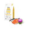 Brit Care Mini Hair Skin Somonlu Köpek Maması 2 kg