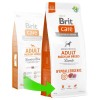 Brit Care Mono Protein Hipoalerjenik Kuzu Etli Orta Irk Yetişkin Köpek Maması 12kg
