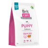 Brit Care Skin&Coat Tahılsız Somonlu Yavru Köpek Maması 3kg
