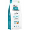 Brit Care Skin & Coat Somonlu Tahılsız Yetişkin Köpek Maması 12kg