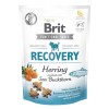 Brit Recovery Ringa Balıklı Köpek Ödül Maması150gr