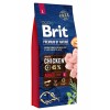 Brit Premium by Nature Adult Tavuklu Büyük Irk Yetişkin Köpek Maması 15kg