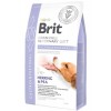 Brit Veterinary Diet Gastrointestinal Sindirim Sistemi Destekleyici Tahılsız Köpek Maması 2kg