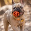 Chuckit! Air Fetch Ball 2 Li Köpek Oyun Topu Küçük Boy