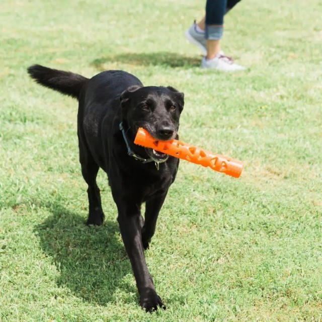 Chuckit! Air Fetch Stick Köpek Oyuncağı Büyük Boy