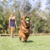 Chuckit! Erratic Ball Köpek Oyun Topu Büyük Boy