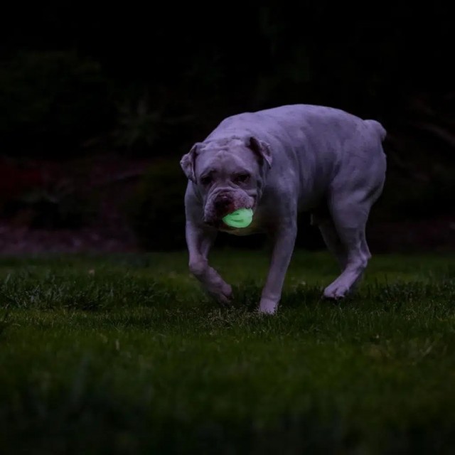 Chuckit! Max Glow Air Fetch Gece Parlayan 2 Li Köpek Oyun Topu Küçük Boy
