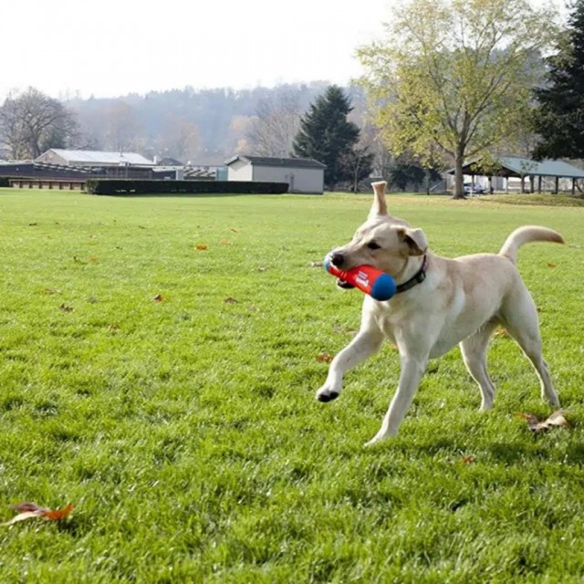 Chuckit! Tumble Bumper Suda Batmayan Köpek Oyuncağı Orta Boy