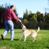 Chuckit! Ultra Duo Tug 2 Li Köpek Çekiştirme Topu Orta Boy