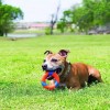 Chuckit! Ultra Ring Köpek Oyun Halkası