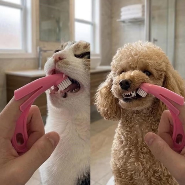 Demirhan Parmağa Takılan Kedi Köpek Diş Fırçası