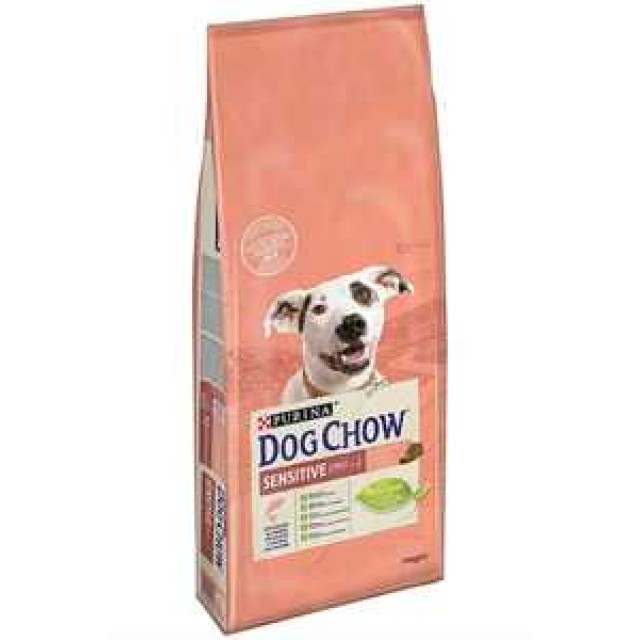 Dog Chow Hassas Köpekler için Somonlu Yetişkin Köpek Maması 14kg